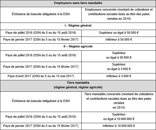 Déclaration sociale nominative : le calendrier