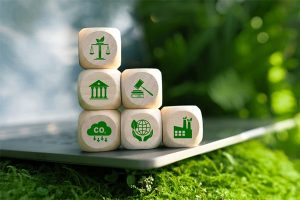 RH durable : une stratégie de groupe ?